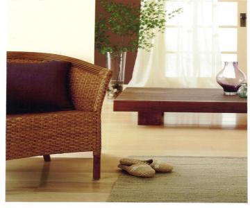 Professional Home Cleaning London