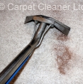 Rug Cleaning Company