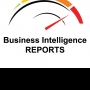 Business Intelligence Reports