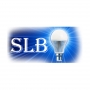 Saving Light Bulbs