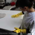 Professional Cleaners