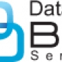 Data Entry Bpo Services