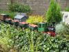 Scottish Garden Railways, Large scale model trains