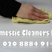 Domestic Cleaners Ltd