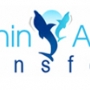Dolphin Airport Transfer