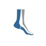 The London Foot and Ankle Clinic (lfac)