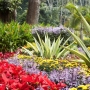 Fast Landscape Gardening