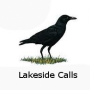 Lakeside Calls
