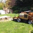 Tree Stump Removal