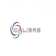 CALIBRE CABLING SERVICES LTD
