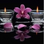 Rosa Thai Massage
