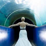 Shutter Bliss Photography