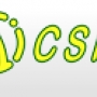  Csi LTD