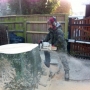 Tree Surgeons South West London