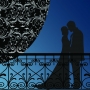  Classic Courtesans LTD