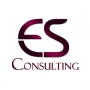 Es Consulting