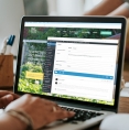 Website Design