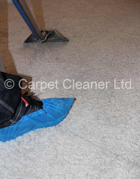 Carpet Cleaner LTD