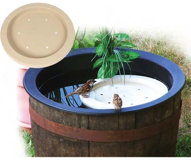 Wild Bird Food Company
